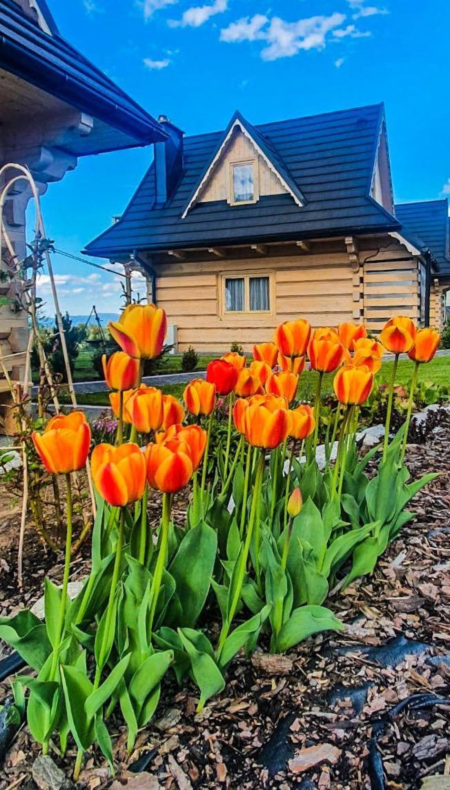 Domki Gorskie Janosik, Kwicol I Pyzdra Gliczarów Exteriér fotografie