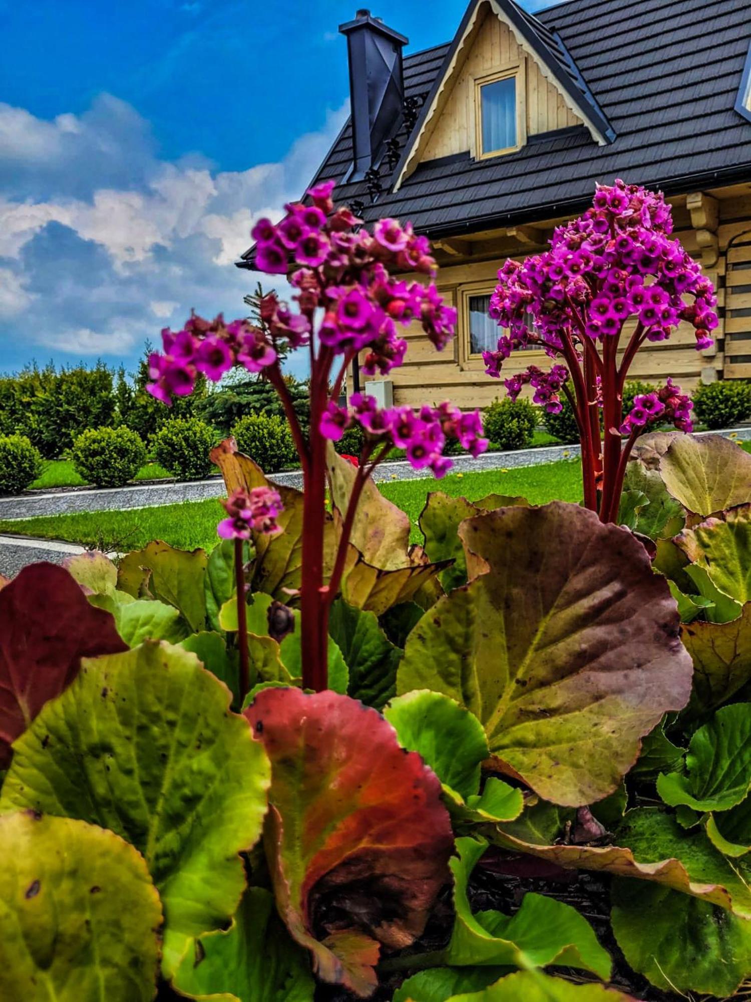 Domki Gorskie Janosik, Kwicol I Pyzdra Gliczarów Exteriér fotografie